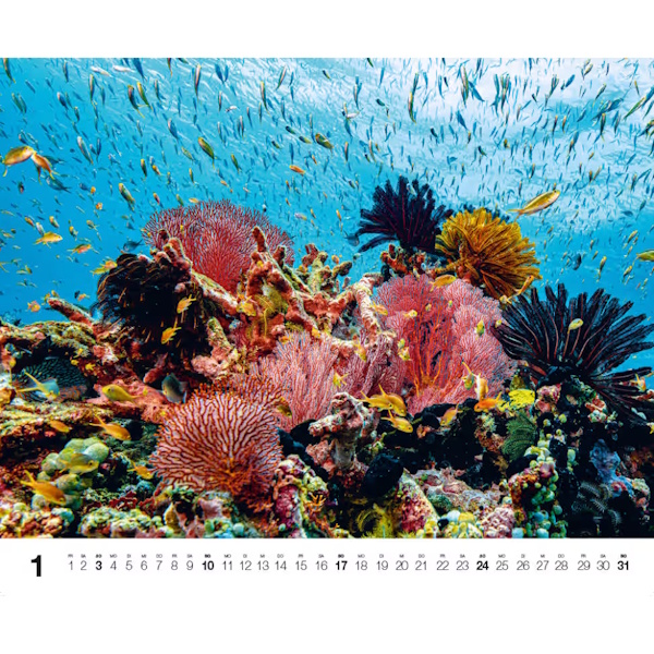 Dive 2027 - DK Kalender