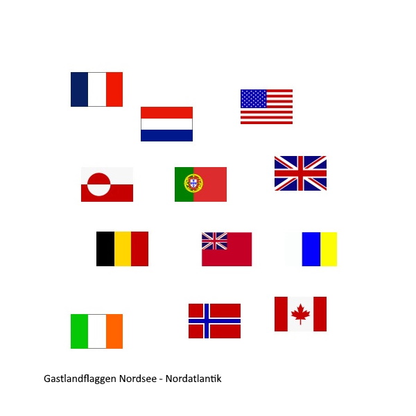 Gastlandflagge, Dänemark, 20 x 30 cm Gastlandflagge, Dänemark, 20 x 30 cm