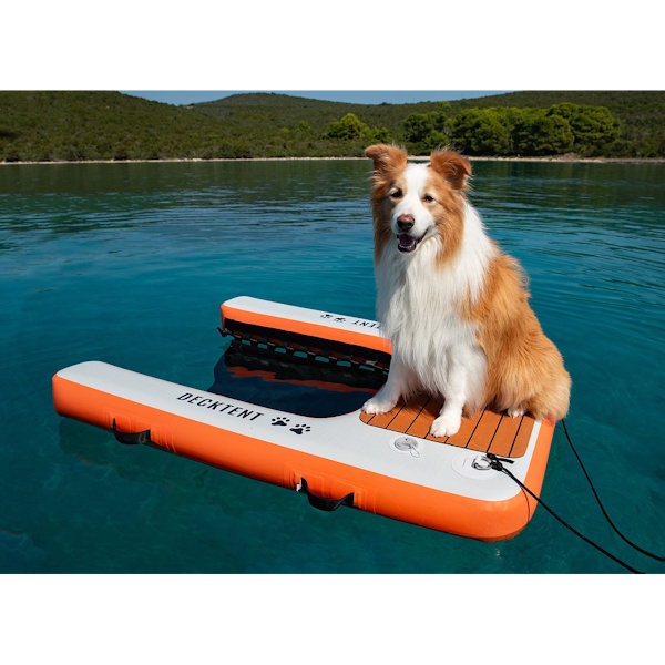 Decktent Dog Rampe Large 150 x 100 x 15 cm für Hunde bis 50 kg