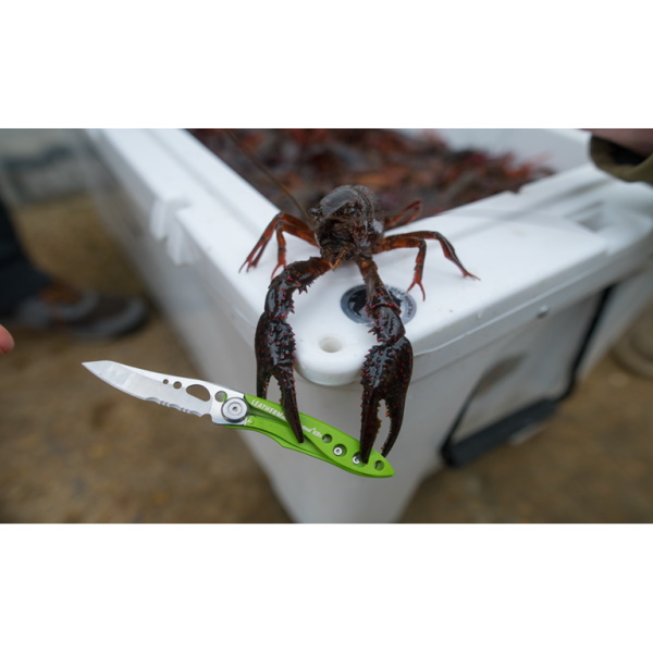 Leatherman "Skeletool®" KBx Taschenmesser blau Leatherman "Skeletool®" KBx Taschenmesser blau