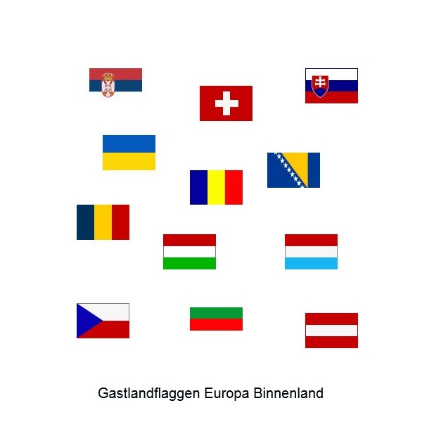 Gastlandflagge Schweiz 30 x 45 cm